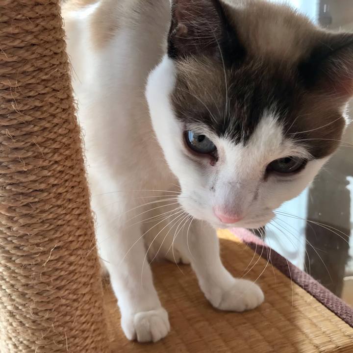 E3598e1e e62c 43ad 9181 275e33c8c7dc 1608020100239