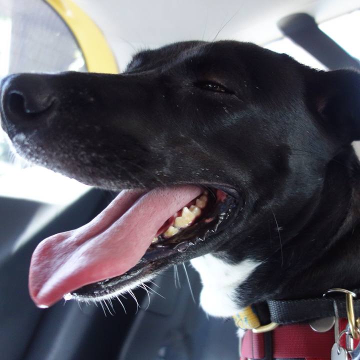 E359c174 ed90 45cf af85 59ae259886f4 1593405586397