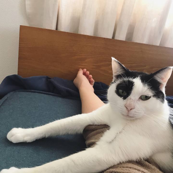 E359c86b 6694 45ae 80f3 08d09bb7355d 1575866661315