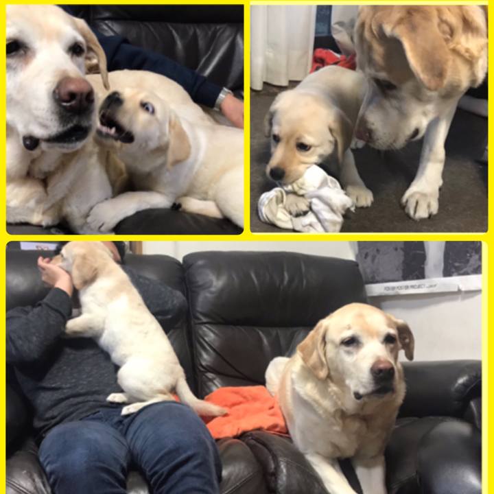 E359e88f b09a 460e 90b6 41a2b873c19b 1552526571104