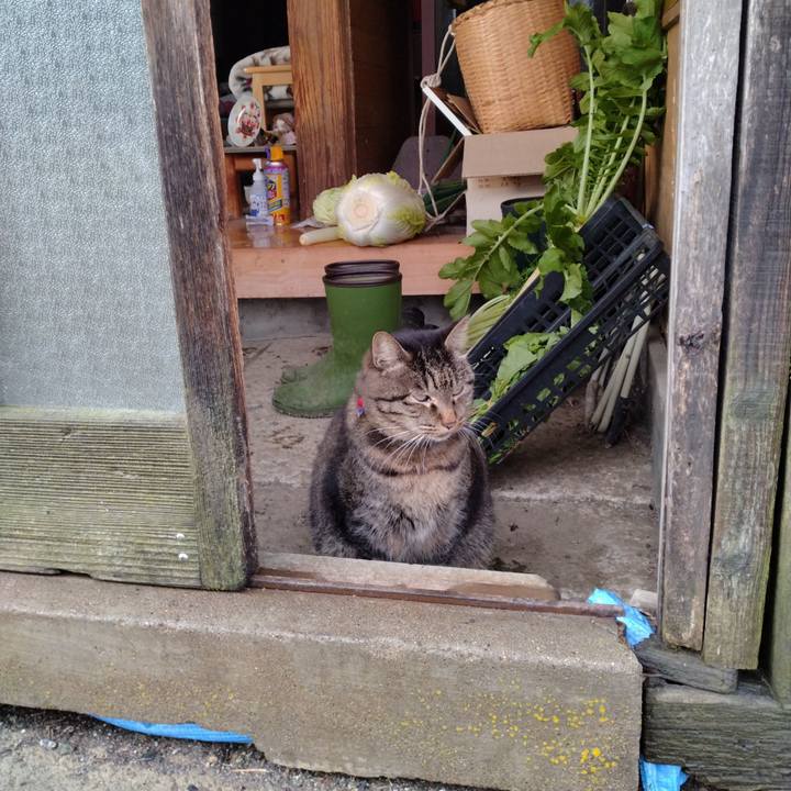 E35a462f 8cb6 4b2d b667 5997cd455dc9 1700204892209