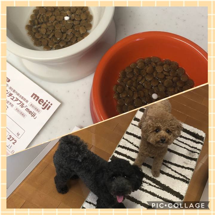 E35a4714 48db 47fb 9cea eae4b7c64bab 1598911167647