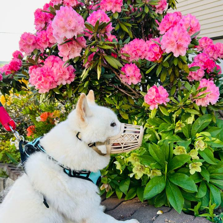 E35a5311 5536 45db 8040 b96afd166c7f 1685222492044