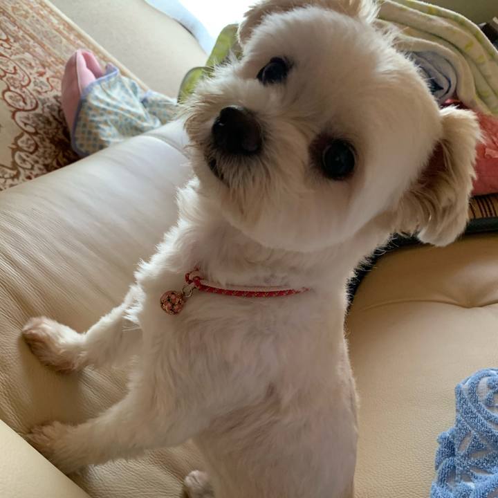 E35a60c3 65e0 4c5f 928b 5ef7298029fb 1597229927441