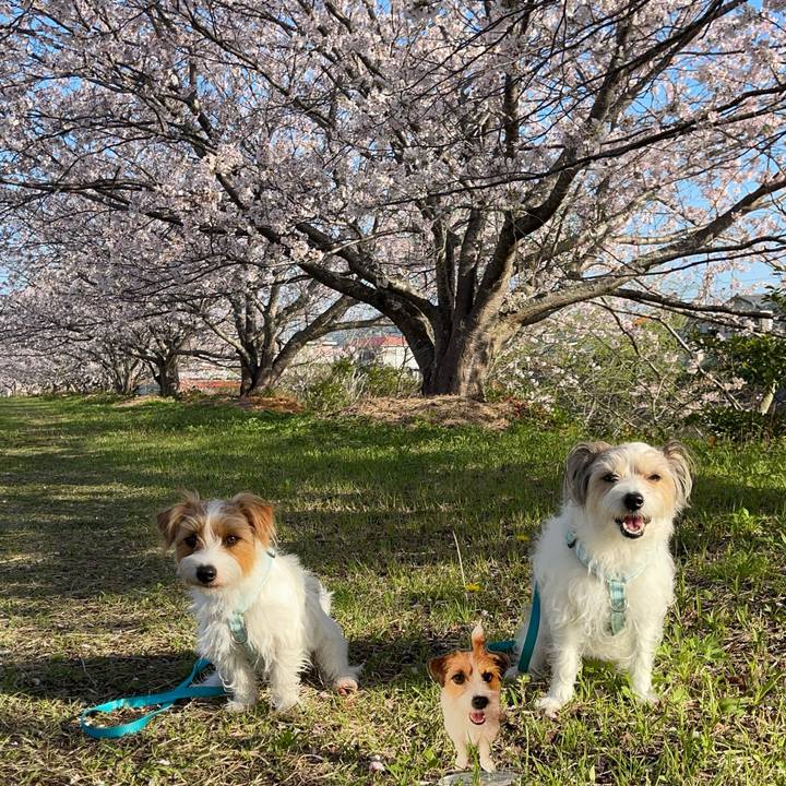 E35a7988 2426 4566 ad27 2619a3c21220 1775473362414