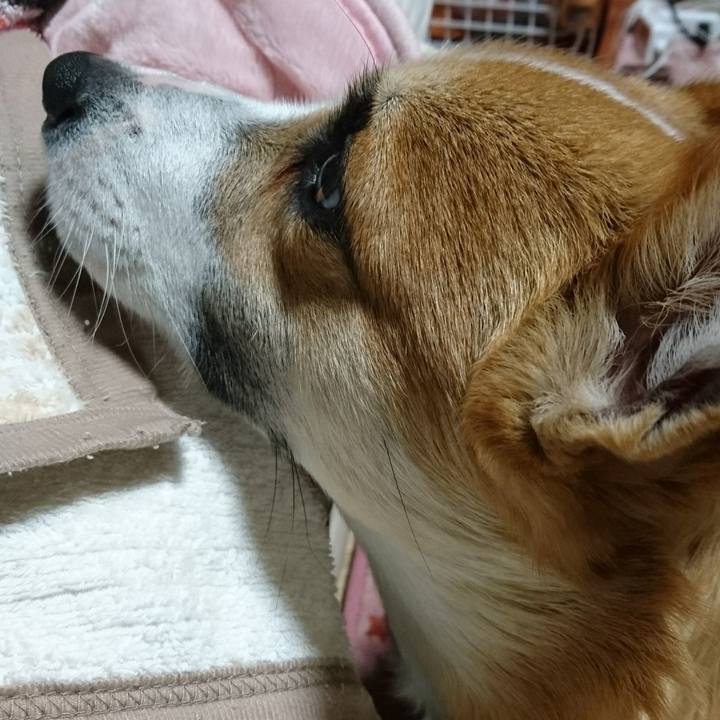 E35a7e96 d6ed 46b2 9b61 2e246e61afee 1578736963035