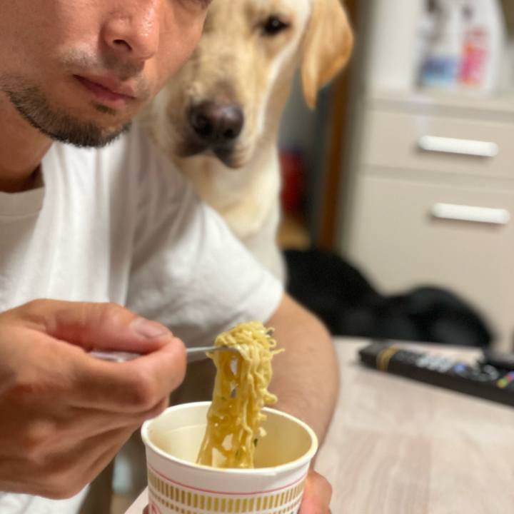 E35a8eb8 fc80 4c7b 9d8a c74b9d9fa209 1654779924214