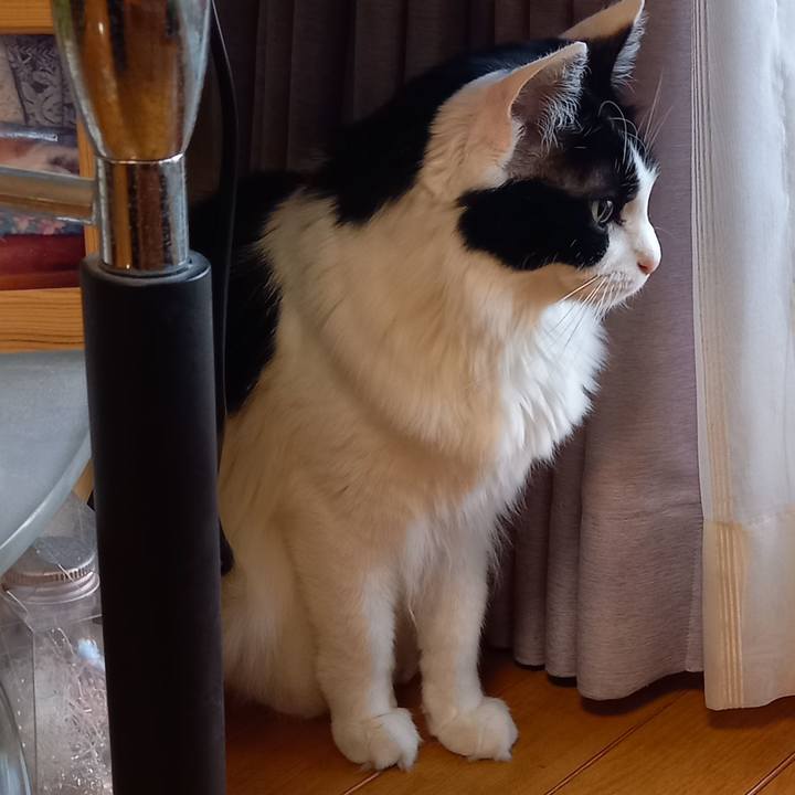 E35a93b7 55c5 4a39 9c91 c03fb1c4fc36 1647462907068