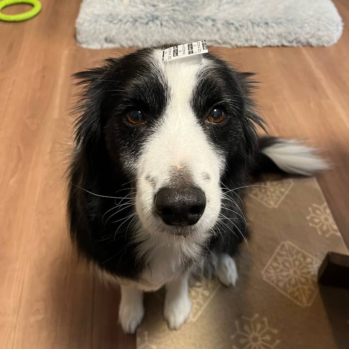 E35a95ad 4d58 4a32 8d32 824c722b20fd 1768092441178