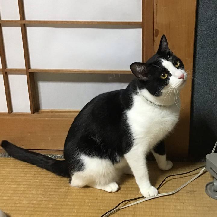 E35add90 a6c9 4461 ad07 b6f47ead7c3c 1657373445404