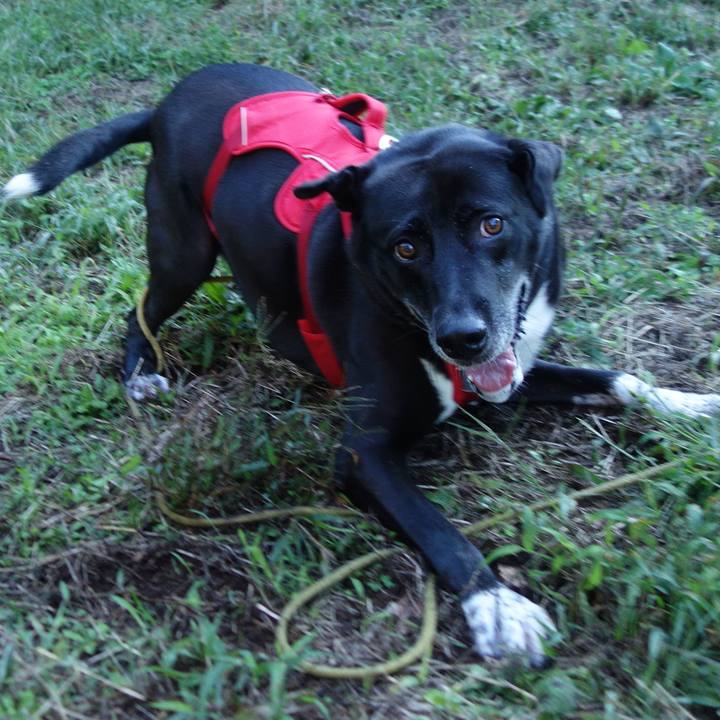 E35af52f ffdf 412c a818 b68709d54f8c 1666313162803