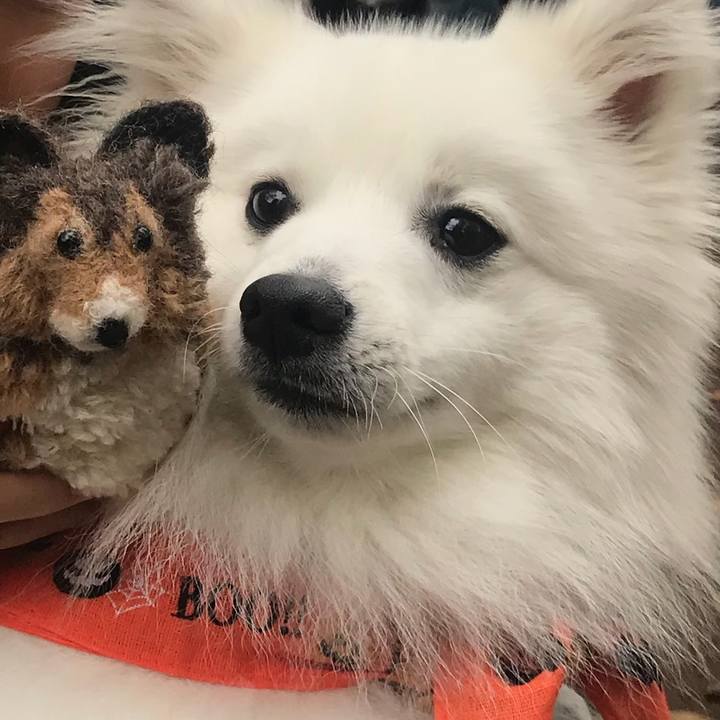 E35b0446 c7a8 411f b19c ef3e8ce9cb0b 1509285900115