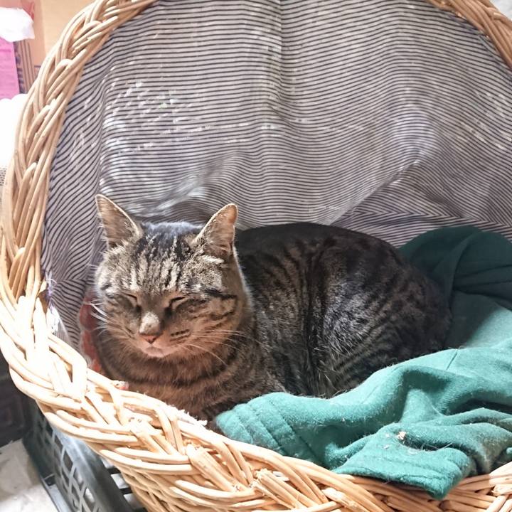 E35b18ea b3d7 4ee6 a1e7 55b7b009fb43 1643286370442