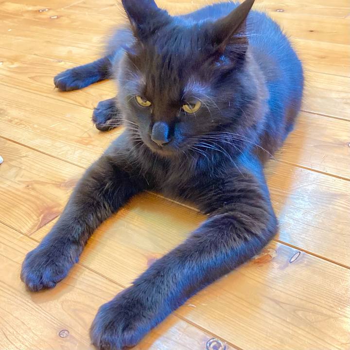 E35b4929 43fc 4b21 b516 c429b08b9065 1713019421365