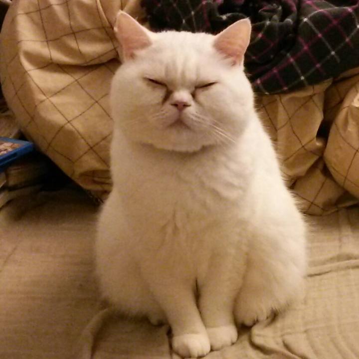 E35b5b68 4e5d 4182 a2ab ea544cc9a424 1508453535914