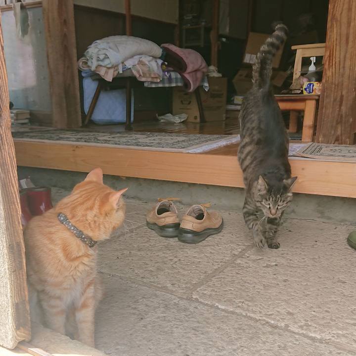 E35b5e9c 0871 4400 a2f5 8e10cb90d937 1651915935931