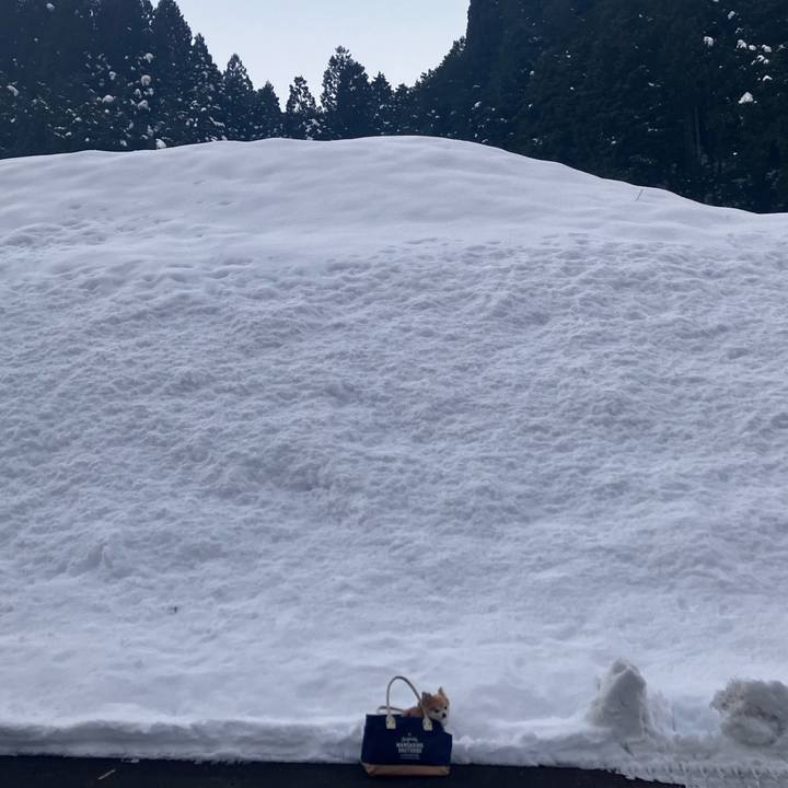 E35b6232 ddf5 4e8f a1ab beb3aeab868d 1766996590533