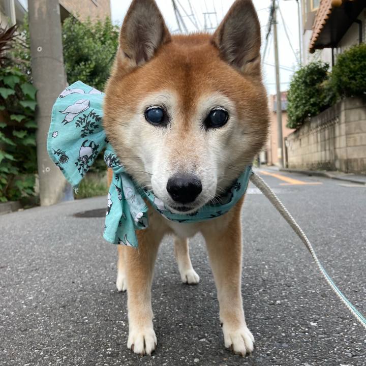 E35b98e9 df30 4876 8507 3d84cd8fdad9 1724834649893