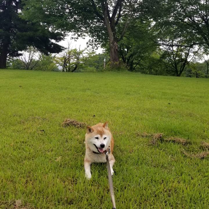 E35ba517 5d63 4f0c 8c23 28c6c6049f28 1720753051243