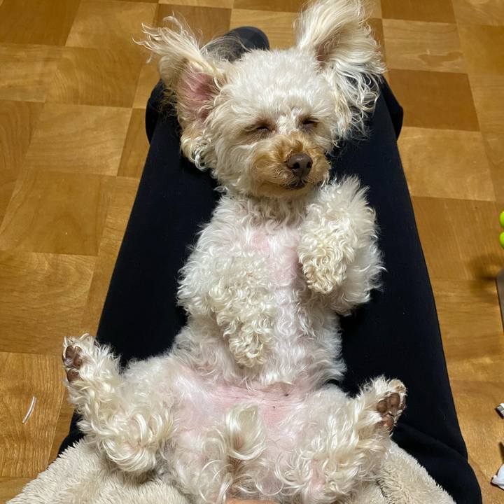 E35be78f c50c 45fa a067 049f5de553aa 1613127190425