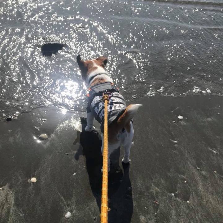 E35bfe1c b155 4a3c 8bc9 2f63dc424755 1650541107822