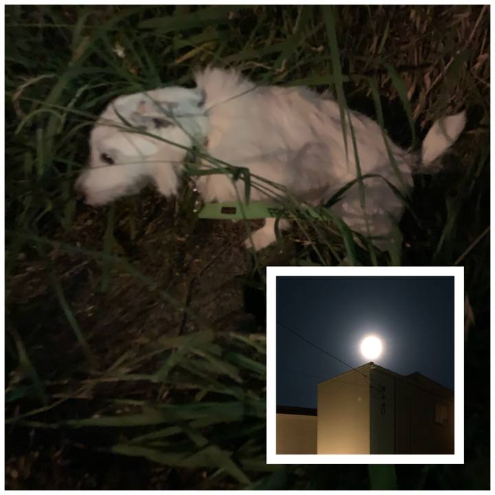 E35c0612 ecab 44bf a8c7 a487a7d20a27 1591360749506