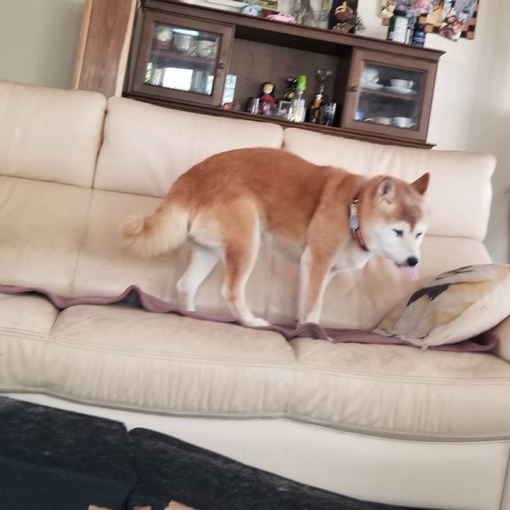 E35c440e 74ed 47e2 b8c8 4b19df4c871b 1752808708256