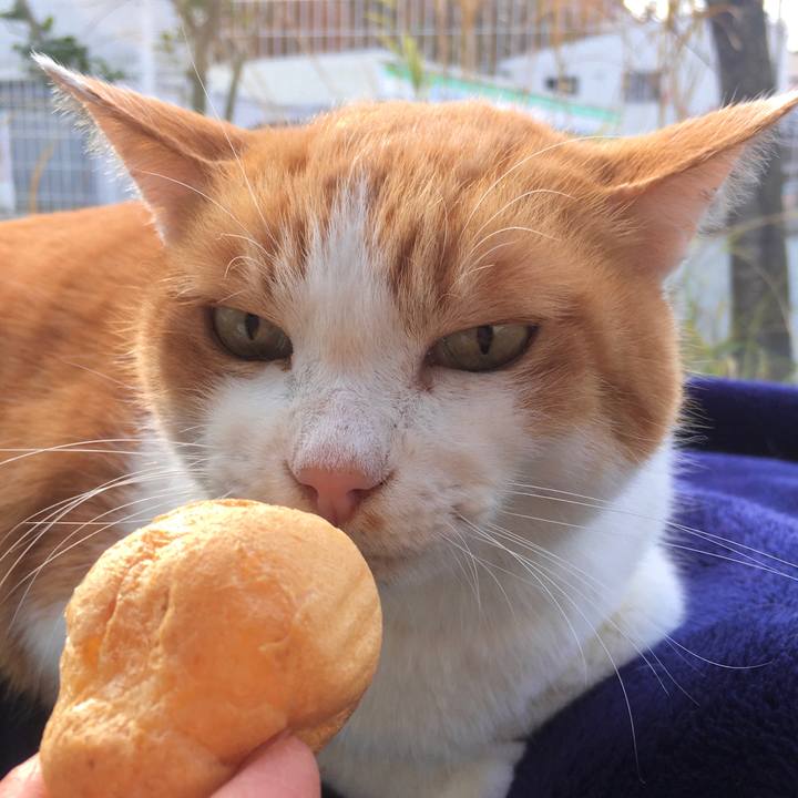 E35cb670 f127 48a4 9b94 3df3ab1e6b31 1575357220080