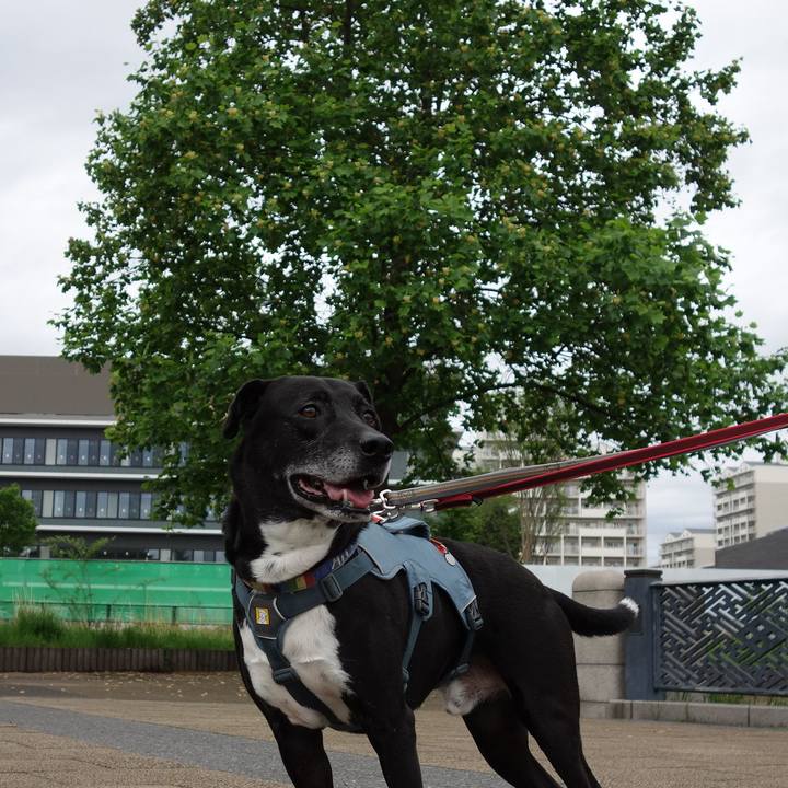 E35ccab2 324b 485e b024 8856fd03d325 1714524195348