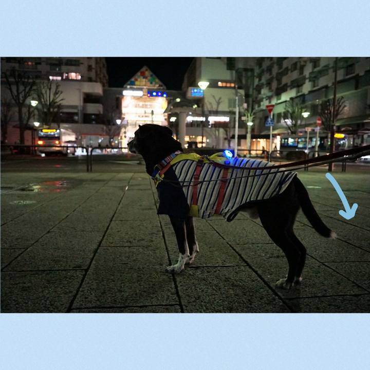 E35cd63d f496 47fc b64f f3415b39bf8f 1770808831798