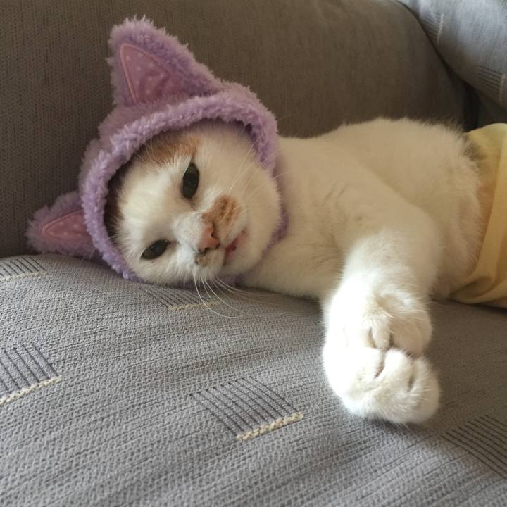 E35d04b9 438c 4a50 aeff 308dd1836c52 1534653181577