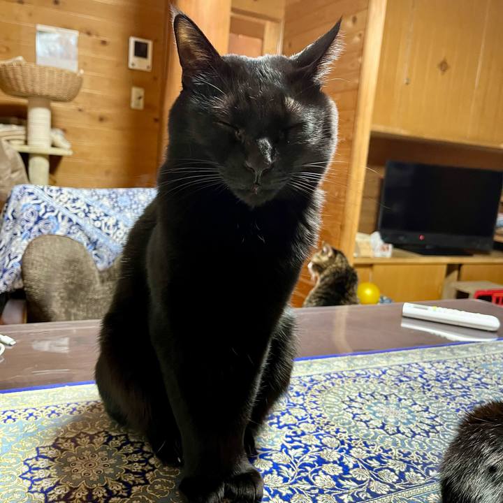 E35d2516 6c0a 453d 8bcf 4812ec895c67 1768478832939