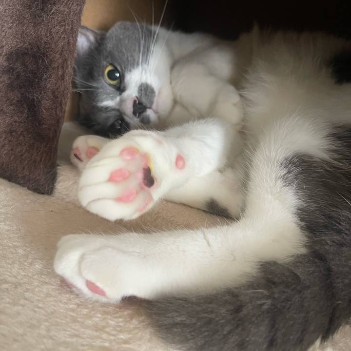 E35e21ac ecb0 414f 8c41 b8bfb4b30ccf 1721349115049