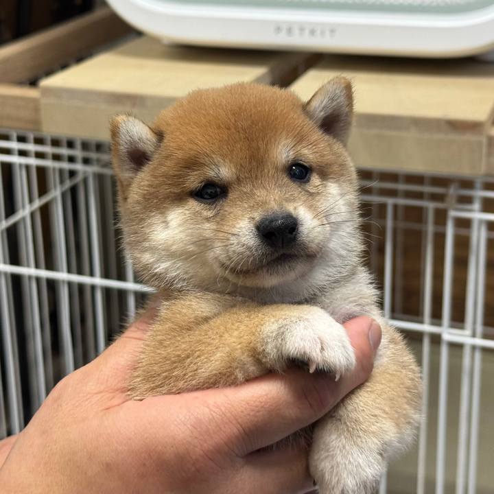 E35e2ea5 9574 4955 b5f9 9b55ce76c82d 1767269215568