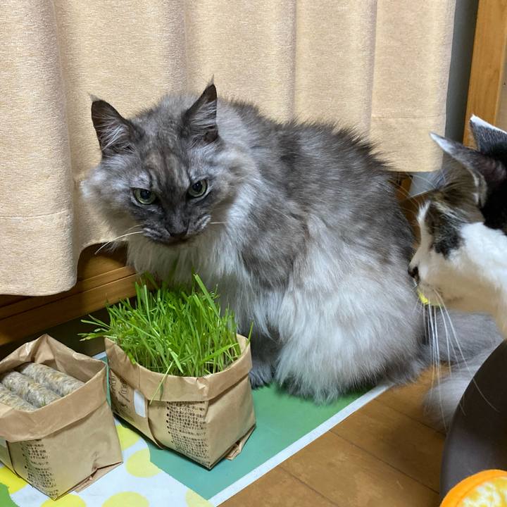 E35e36ff f494 4323 81ad 339b6f8d5f04 1709252050330