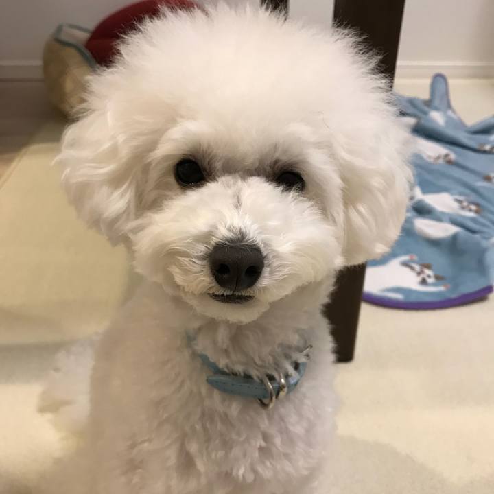 E35e447d 319f 4d5c a372 ffe4e4222d27 1512784464497