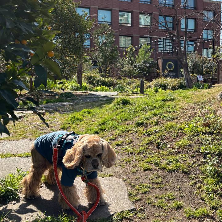 E35e53ef 32b2 49f5 a49c 284a24c51ed2 1774018601147