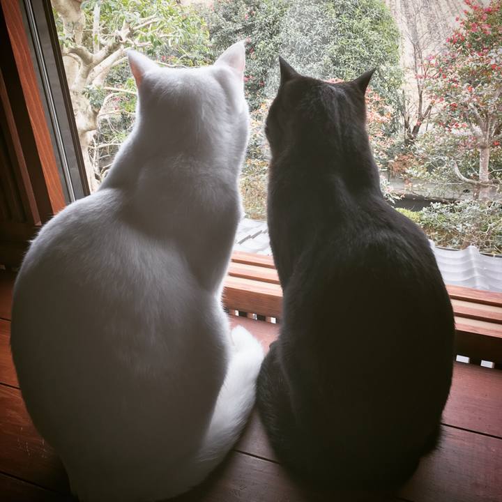 E35e5c34 194b 4ba9 b007 0120ba982045 1513573966181