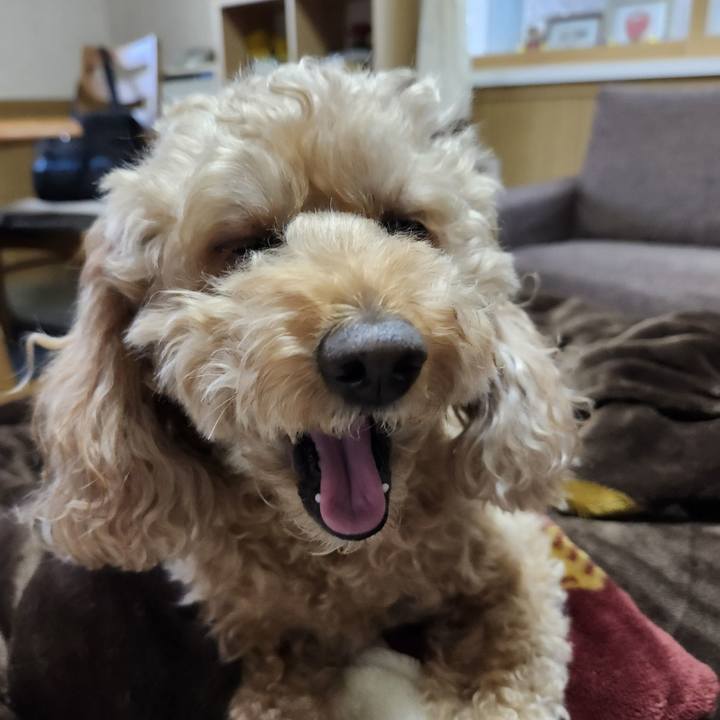 E35e5cb2 b46e 4209 a479 efbc0d875f18 1764803914982