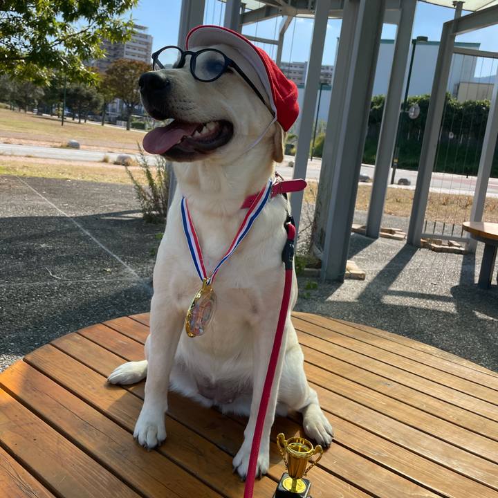 E35e63b2 e4e2 4eea 881b 052ecfd95b1b 1635374526151