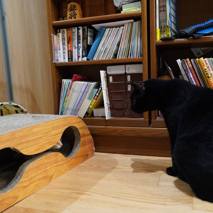 E35e7734 708c 48c4 995b 6aaf66f5b3ea 1567263535832