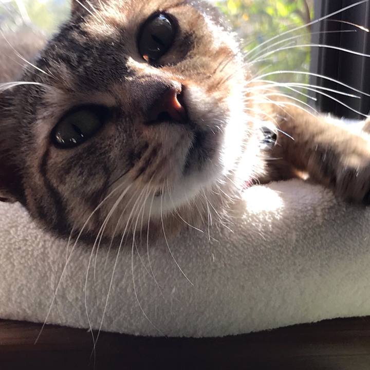 E35e9386 9dee 4120 bf30 6b93cf2456c3 1586216832634