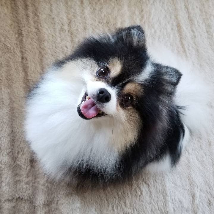 E35f4362 1ee7 40a0 b0cd a3404b968aee 1564700955411