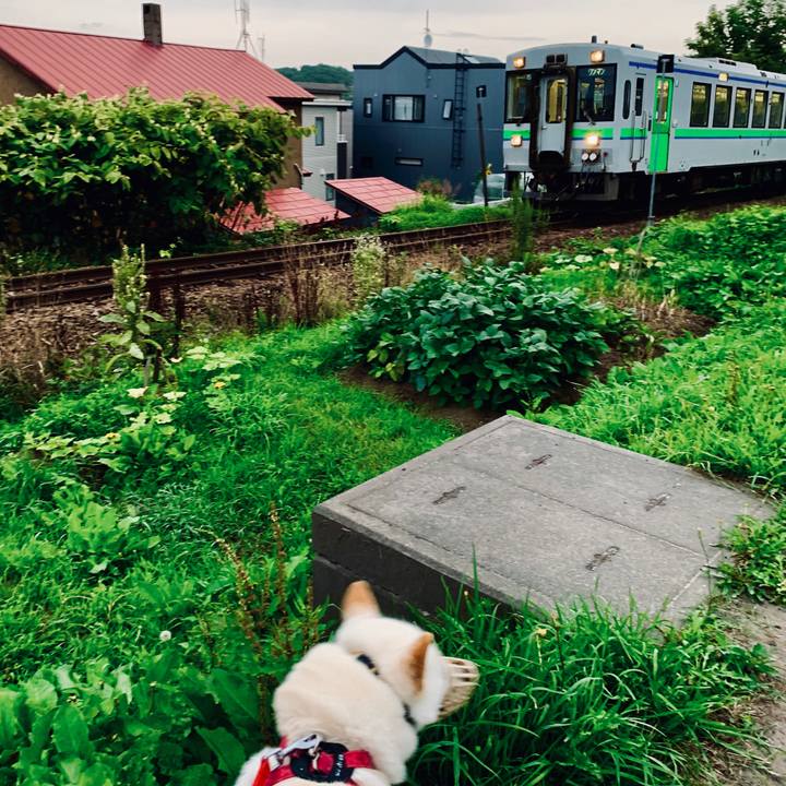 E35f6e07 b8cc 419e bdf7 1e21ce58814e 1566248864379