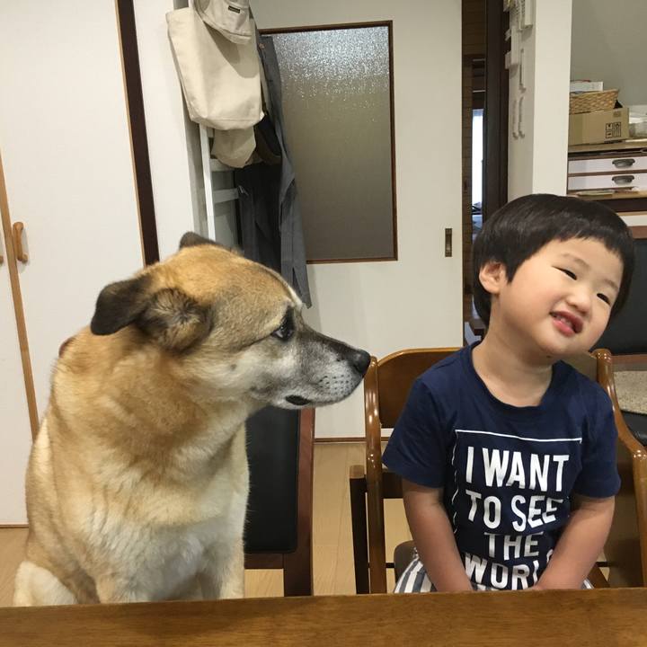 E35f94d2 2a9c 41c5 b68b a1898a72cf89 1528269389252