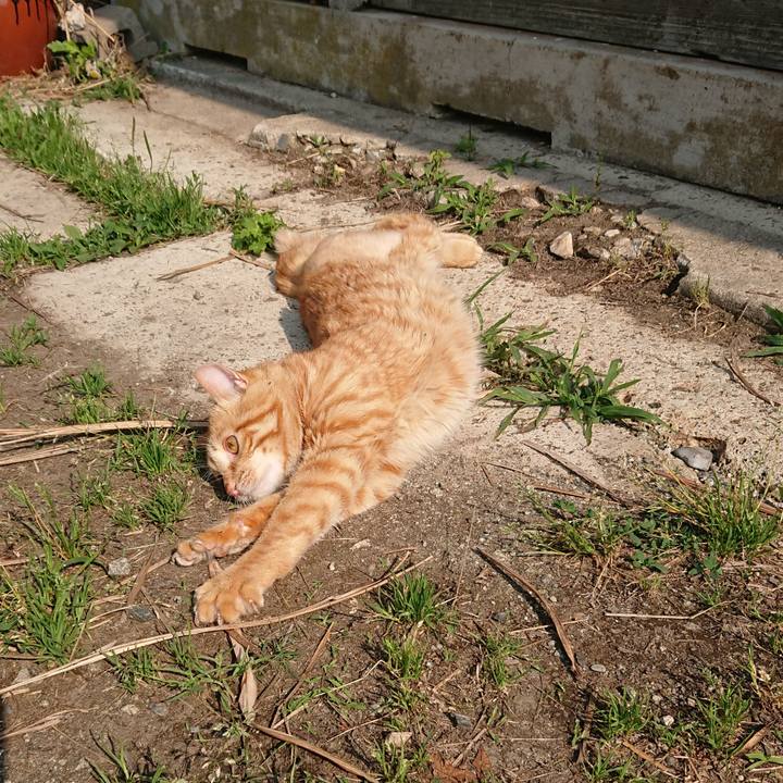 E35ffb44 bf97 4278 bc3e b8395effc1c8 1655593959563