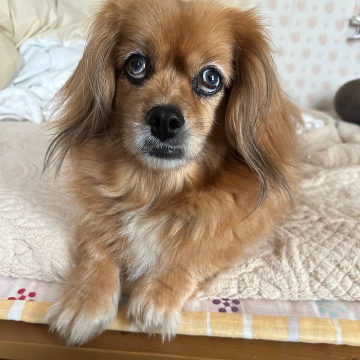 E36021e1 c669 422a 9cf2 c737287d6c83 1719631872753