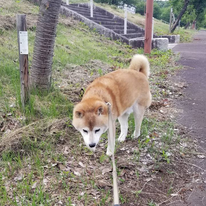 E360369c 8ec3 4ff3 aa62 dec40c6cd4f0 1719476583173