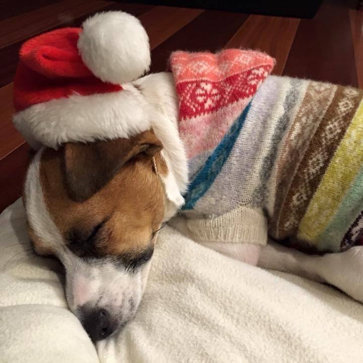 E3608595 11dc 4202 bf03 f61d6077b35f 1703253590663