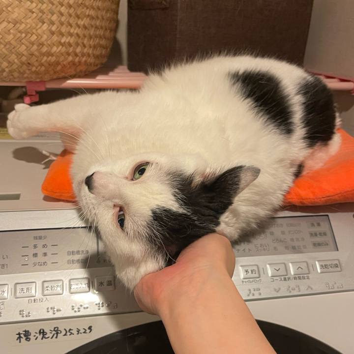 E3609e58 82a2 4ee8 b68e 5fc7e2eff633 1745423000469